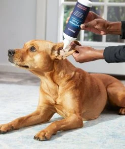 Frisco Antiseptic Dog, Cat & Horse Ear Flush Rinse -Frisco Sales 2024 178705 PT3. SY630 V1582124328