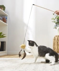 Frisco Sparkle Ball Glitter Teaser Cat Toy -Frisco Sales 2024 183254 PT3. SY630 V1573748308