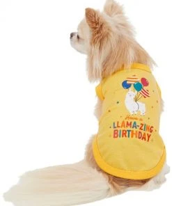 Frisco Llama-zing Birthday Dog & Cat T-Shirt