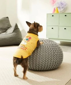 Frisco Llama-zing Birthday Dog & Cat T-Shirt 11 Frisco Llama-zing Birthday Dog & Cat T-Shirt -Frisco Sales 2024 191240 PT4. SY630 V1582053521