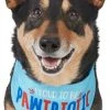 Frisco Pawtriot Dog & Cat Bandana 2 Frisco Pawtriot Dog & Cat Bandana -Frisco Sales 2024 191277 Main. SY630 V1584623866