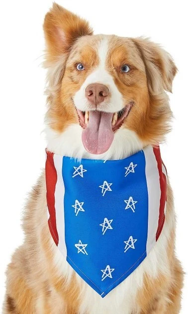 Frisco Stars & Stripes Dog & Cat Bandana 6 Frisco Stars & Stripes Dog & Cat Bandana - Image 4
