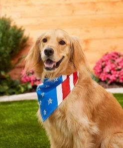 Frisco Stars & Stripes Dog & Cat Bandana 11 Frisco Stars & Stripes Dog & Cat Bandana -Frisco Sales 2024 191288 PT4. SY630 V1632423083