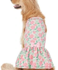 Frisco Pink Floral Dog & Cat Dress -Frisco Sales 2024 191295 PT2. SY630 V1637653354