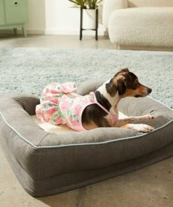 Frisco Pink Floral Dog & Cat Dress -Frisco Sales 2024 191295 PT4. SY630 V1637706473