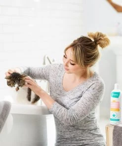 Frisco Shed Control Dog & Cat Conditioner, Sweet Nectar Scent 9 Frisco Shed Control Dog & Cat Conditioner, Sweet Nectar Scent -Frisco Sales 2024 192072 PT4. SY630 V1589487678