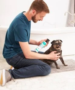 Frisco Aloe Hydrating Dog & Cat Spray, Sweet Nectar Scent 8 Frisco Aloe Hydrating Dog & Cat Spray, Sweet Nectar Scent -Frisco Sales 2024 192084 PT3. SY630 V1585321073