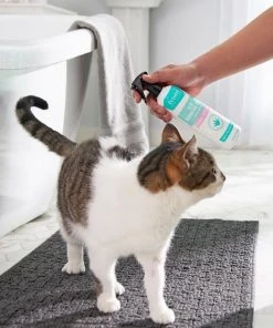 Frisco Aloe Hydrating Dog & Cat Spray, Sweet Nectar Scent 9 Frisco Aloe Hydrating Dog & Cat Spray, Sweet Nectar Scent -Frisco Sales 2024 192084 PT4. SY630 V1589487682