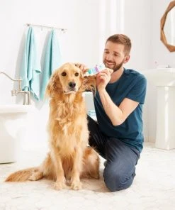 Frisco Dog Ear Cleaner -Frisco Sales 2024 192092 PT3. SY630 V1585320961