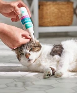 Frisco Cat Ear Cleaner 7 Frisco Cat Ear Cleaner -Frisco Sales 2024 192094 PT4. SY630 V1589487657