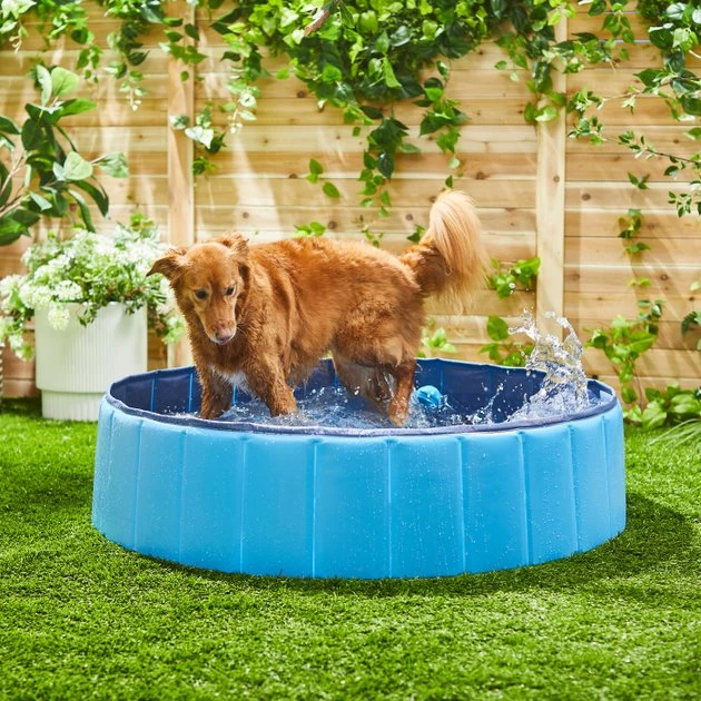 Frisco Outdoor Dog Swimming Pool 3 Frisco Outdoor Dog Swimming Pool
