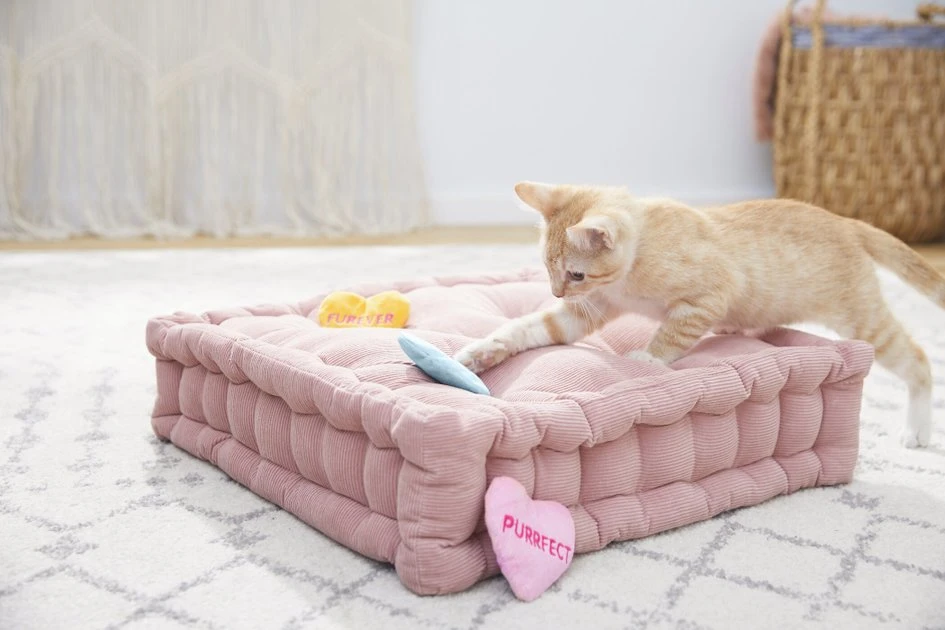 Frisco Candy Hearts Plush Cat Toy with Catnip, 3 count 5 Frisco Candy Hearts Plush Cat Toy with Catnip, 3 count - Image 3