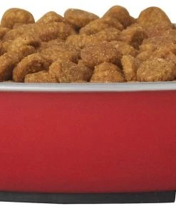 Frisco Heavy Duty Non-Skid Saucer Cat Bowl -Frisco Sales 2024 204461 PT2. SY630 V1598449859