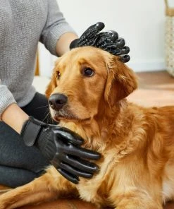 Frisco Dog & Cat Deshedding & Grooming Gloves, Black 12 Frisco Dog & Cat Deshedding & Grooming Gloves, Black -Frisco Sales 2024 206842 PT5. SY630 V1610766542