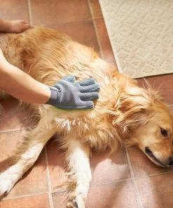 Frisco Dog & Cat Grooming Glove, Right Hand -Frisco Sales 2024 206845 PT5. SY630 V1610766425
