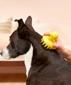 Frisco Rubber Duckie Dog & Cat Curry Brush -Frisco Sales 2024 206849 PT7. SY630 V1600915945