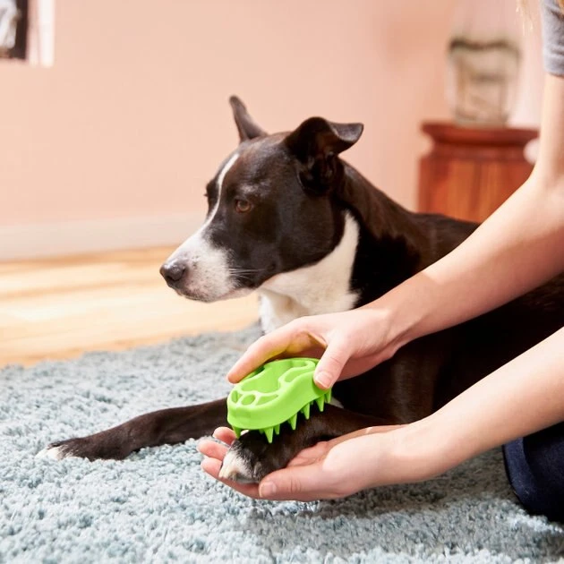 Frisco Bone Dog Curry Brush 5 Frisco Bone Dog Curry Brush - Image 3