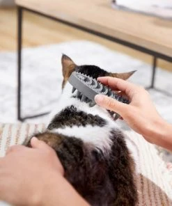 Frisco Cat Curry Brush -Frisco Sales 2024 206853 PT8. SY630 V1600915900