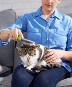 Frisco Cat & Dog Pin Brush, One-Size -Frisco Sales 2024 206861 PT8. SY630 V1600915974