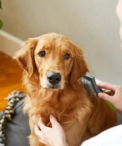 Frisco Self-Cleaning Slicker Dog Brush 11 Frisco Self-Cleaning Slicker Dog Brush -Frisco Sales 2024 206863 PT8. SY630 V1600915991