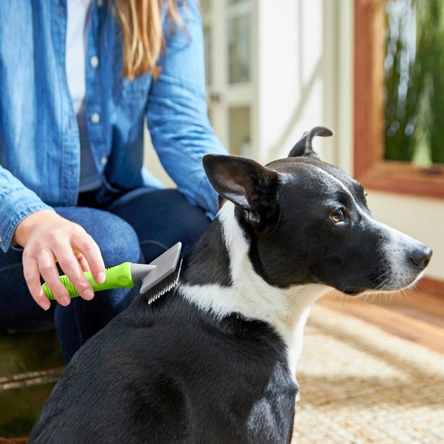 Frisco Soft Slicker Dog Brush, One Size 5 Frisco Soft Slicker Dog Brush, One Size - Image 3