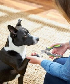 Frisco Dog Nail Trimmer 7 Frisco Dog Nail Trimmer -Frisco Sales 2024 206877 PT8. SY630 V1600915891