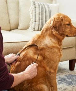 Frisco Shedding Blade Dog Brush, One Size 5 Frisco Shedding Blade Dog Brush, One Size -Frisco Sales 2024 206895 PT7. SY630 V1600915940