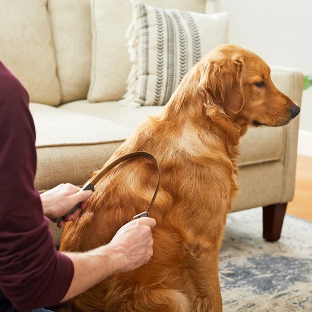 Frisco Shedding Blade Dog Brush, One Size Frisco Shedding Blade Dog Brush, One Size -Frisco Sales 2024 206895 PT7. SY630 V1600915940