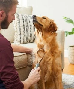 Frisco Shedding Blade Dog Brush, One Size 6 Frisco Shedding Blade Dog Brush, One Size -Frisco Sales 2024 206895 PT8. SY630 V1600915985