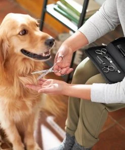 Frisco Dog & Cat Grooming Shears Kit -Frisco Sales 2024 206903 PT4. SY630 V1604009923