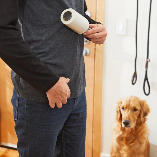 Frisco Dog & Cat Hair Lint Roller Refill 5 Frisco Dog & Cat Hair Lint Roller Refill - Image 3