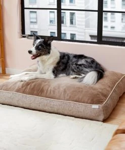 Frisco Plush Orthopedic Pillow Dog Bed with Removable Cover