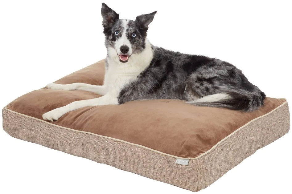 Frisco Plush Orthopedic Pillow Dog Bed with Removable Cover, Beige, X-Large Frisco Plush Orthopedic Pillow Dog Bed with Removable Cover -Frisco Sales 2024 210279 PT2. SY630 V1590067298