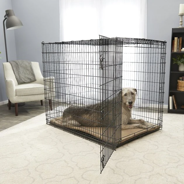 Frisco XX-Large Heavy Duty Single Door Wire Dog Crate, 54 inch Frisco XX-Large Heavy Duty Single Door Wire Dog Crate, 54 inch -Frisco Sales 2024 210677 MAIN. SY630 V1598645766