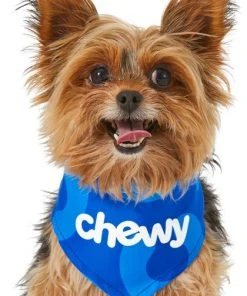 Frisco Chewy Dog & Cat Bandana