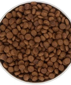 Frisco Heavy Duty Non-Skid Saucer Cat Bowl, Red Paw -Frisco Sales 2024 213423 PT4. SY630 V1599240402