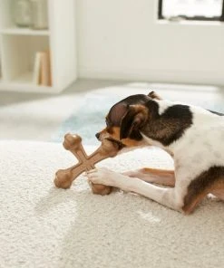 Frisco Peanut Butter Flavor Tough Nylon Dog Chew Toy 7 Frisco Peanut Butter Flavor Tough Nylon Dog Chew Toy -Frisco Sales 2024 213435 PT2. SY630 V1581715702