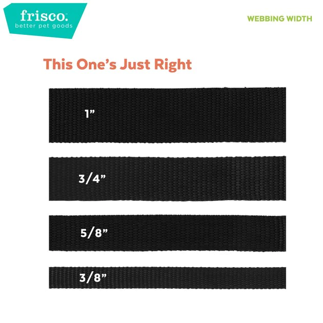 Frisco Leopard Print Polyester Dog Leash, Small: 6-ft long, 5/8-in wide Frisco Leopard Print Polyester Dog Leash -Frisco Sales 2024 213759 PT3. SY630 V1628030558