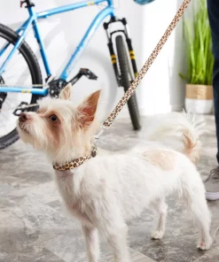 Frisco Leopard Print Polyester Dog Leash 5 Frisco Leopard Print Polyester Dog Leash -Frisco Sales 2024 213759 PT4. SY630 V1628029580