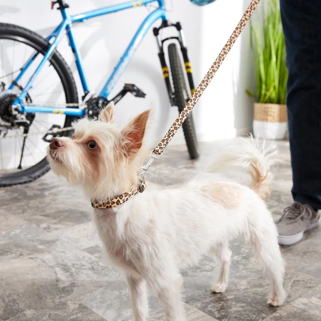 Frisco Leopard Print Polyester Dog Leash, Small: 6-ft long, 5/8-in wide Frisco Leopard Print Polyester Dog Leash -Frisco Sales 2024 213759 PT4. SY630 V1628029580