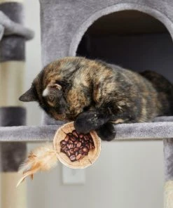 Frisco Bag-of-Coffee Beans Cat Toy with Catnip -Frisco Sales 2024 213898 PT8. SY630 V1600488454