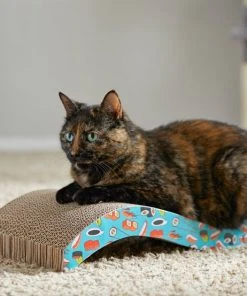 Frisco Sushi Delight Wave Cat Scratcher 9 Frisco Sushi Delight Wave Cat Scratcher -Frisco Sales 2024 213908 PT8. SY630 V1600488470