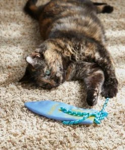 Frisco Summer Fun Surfboard Kicker Cat Toy -Frisco Sales 2024 214667 PT6. SY630 V1597596418