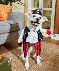 Frisco Front Walking Pirate Dog & Cat Costume -Frisco Sales 2024 215477 PT8. SY630 V1599141371
