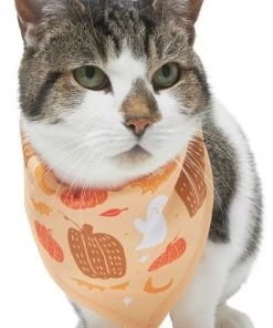 Frisco Whimsical Halloween Dog & Cat Bandana -Frisco Sales 2024 215651 PT2. SY630 V1637656899