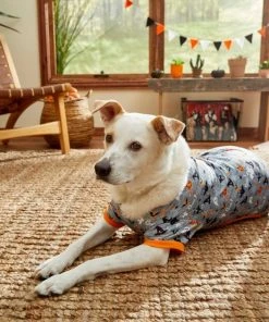 Frisco Halloween Patterned Dog & Cat Jersey PJs -Frisco Sales 2024 215656 PT8. SY630 V1599225410