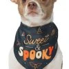 Frisco Sweet & Spooky Dog & Cat Bandana -Frisco Sales 2024 215671 MAIN. SY630 V1633728991