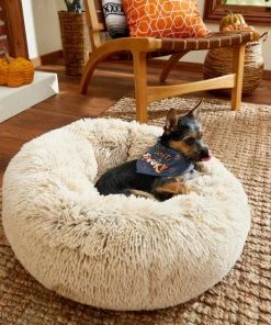 Frisco Sweet & Spooky Dog & Cat Bandana -Frisco Sales 2024 215671 PT3. SY630 V1632420698