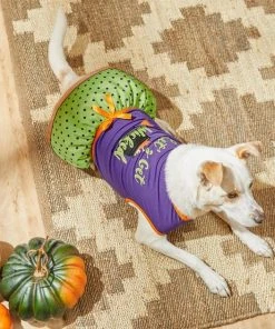 Frisco Let's Get Wicked Dog & Cat Dress -Frisco Sales 2024 215769 PT8. SY630 V1599225360