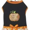 Frisco Pumpkin Patch Cutie Dog & Cat Dress -Frisco Sales 2024 215783 MAIN. SY630 V1632429381